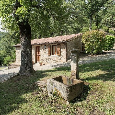 Casa Rancacci Konuk evi Mercatale  Dış mekan fotoğraf