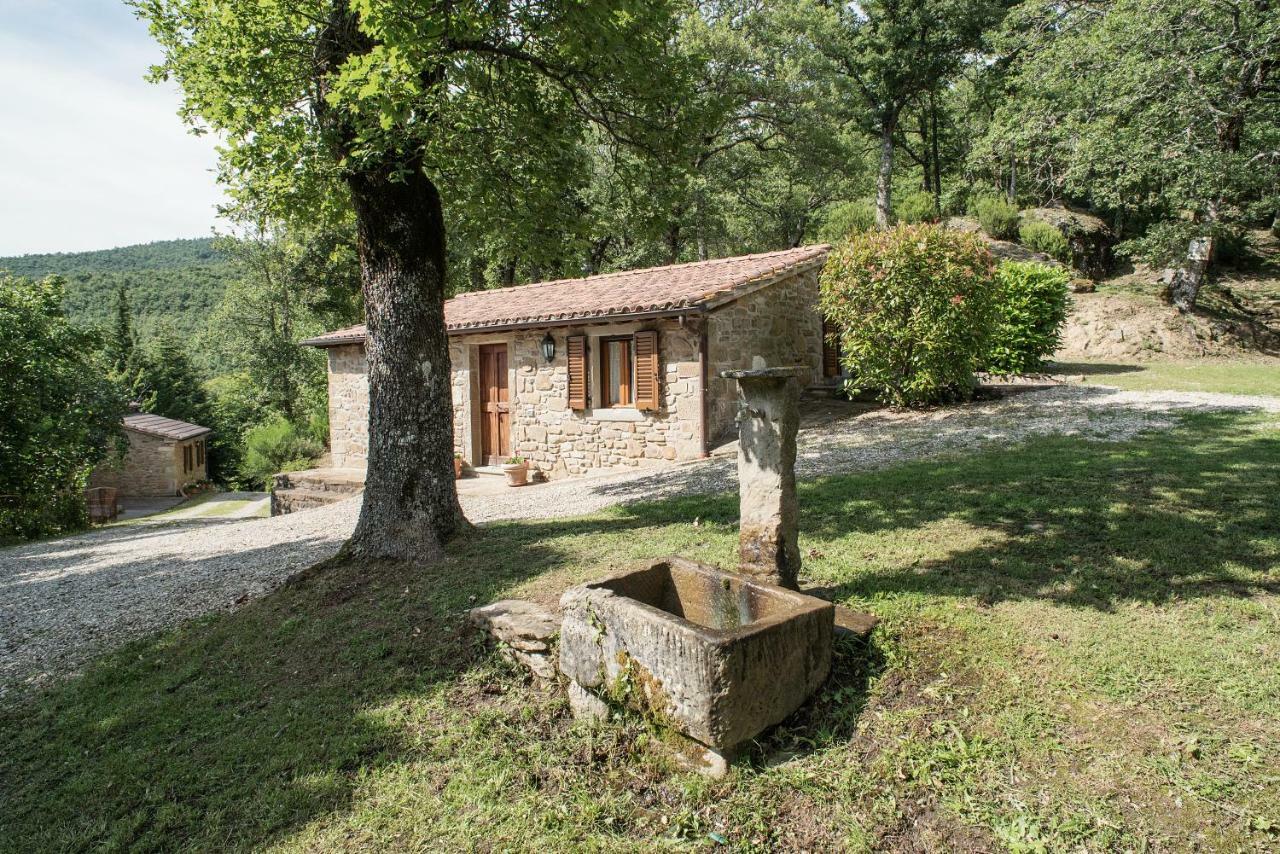 Casa Rancacci Konuk evi Mercatale  Dış mekan fotoğraf