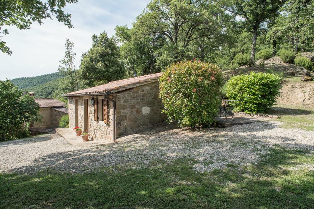 Casa Rancacci Konuk evi Mercatale  Dış mekan fotoğraf